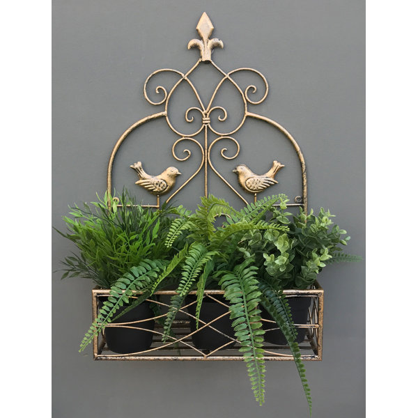 Marlow Home Co. Metal Wall Planter & Reviews Wayfair.co.uk